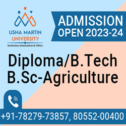 Usha Martin University